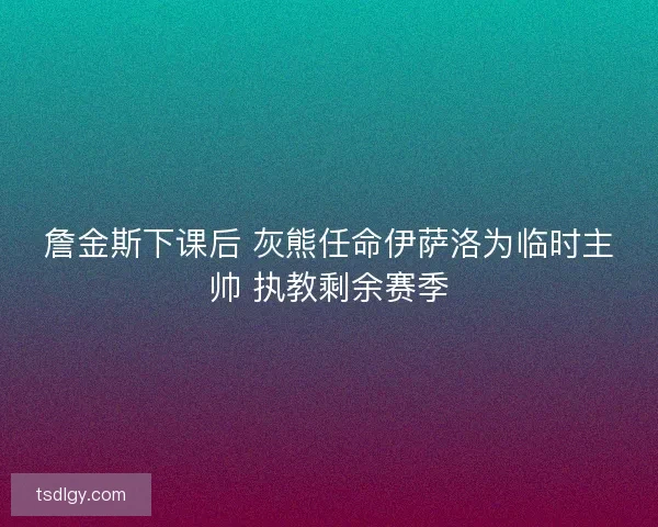 詹金斯下课后 灰熊任命伊萨洛为临时主帅 执教剩余赛季