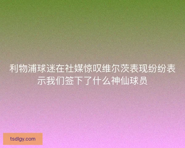 利物浦球迷在社媒惊叹维尔茨表现纷纷表示我们签下了什么神仙球员