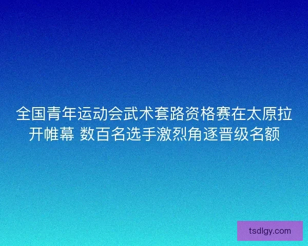 全国青年运动会武术套路资格赛在太原拉开帷幕 数百名选手激烈角逐晋级名额