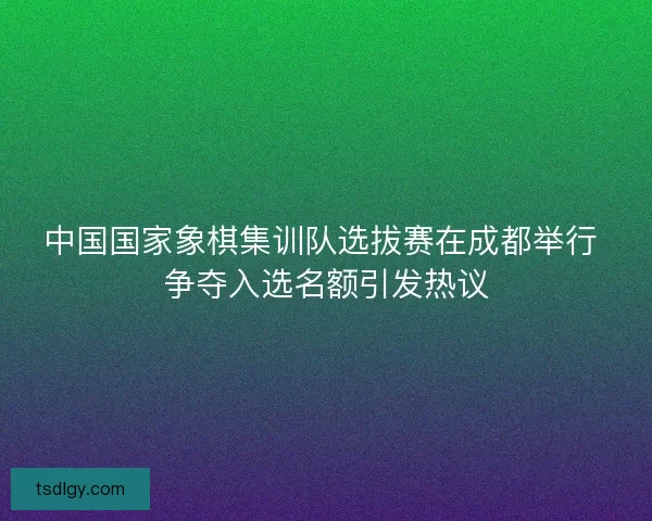 中国国家象棋集训队选拔赛在成都举行 争夺入选名额引发热议